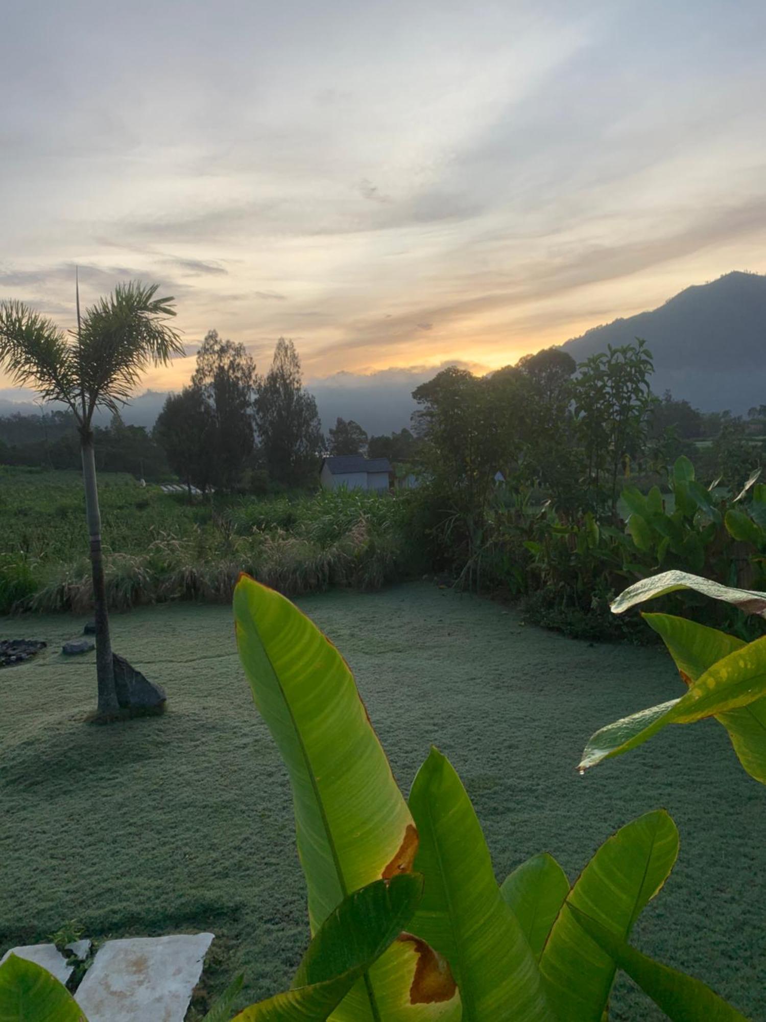 Отель Bali Lesung Кинтамани Экстерьер фото